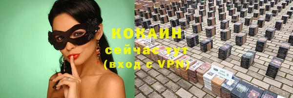 прущие грибы Нея