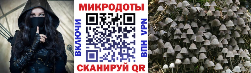 нарко площадка наркотические препараты  купить  цена  Покров  Псилоцибиновые грибы Magic Shrooms 