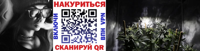 Шишки марихуана марихуана  где купить наркотик  OMG вход  darknet состав  Покров 